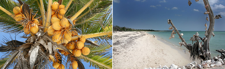 Tulum and Riviera Maya Rentals